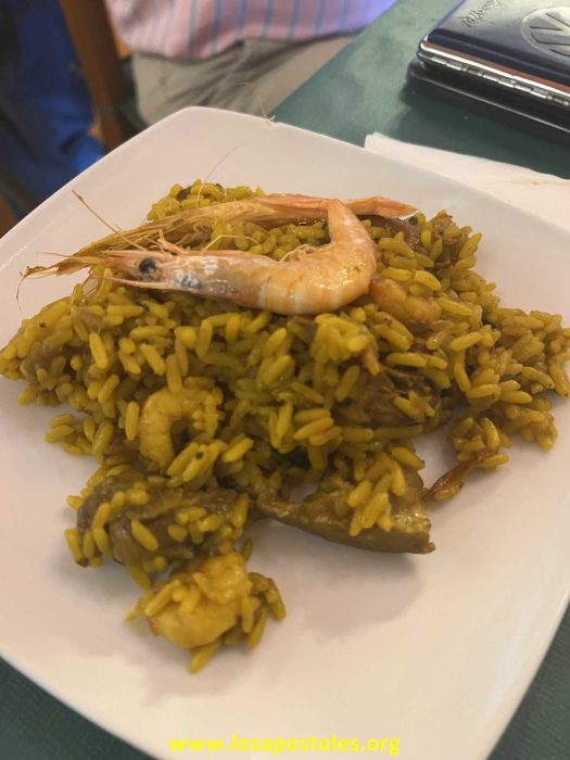 TSR Watermark - 3251